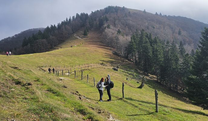 Photo 2 of the Bikemap route "Nyugodt útvonal" Photo 2 of the Bikemap route "Nyugodt útvonal"
