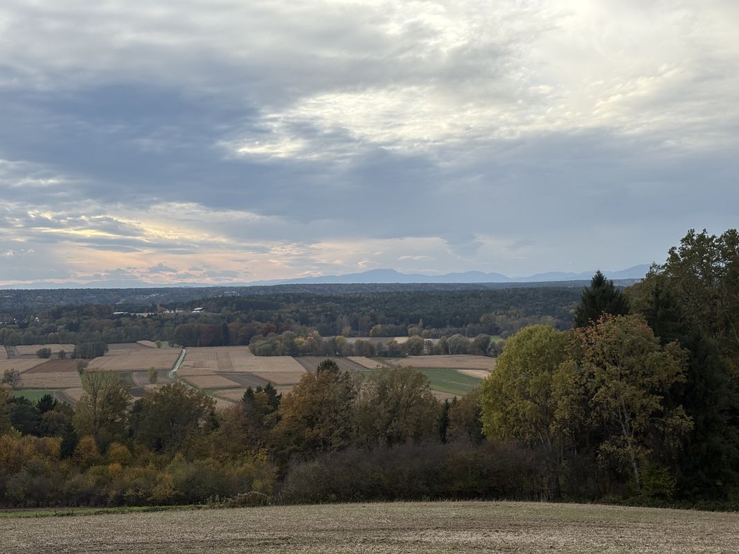 Bergstraße, Radafalva - Höhenstraße, Burgóhegy-Magashegy