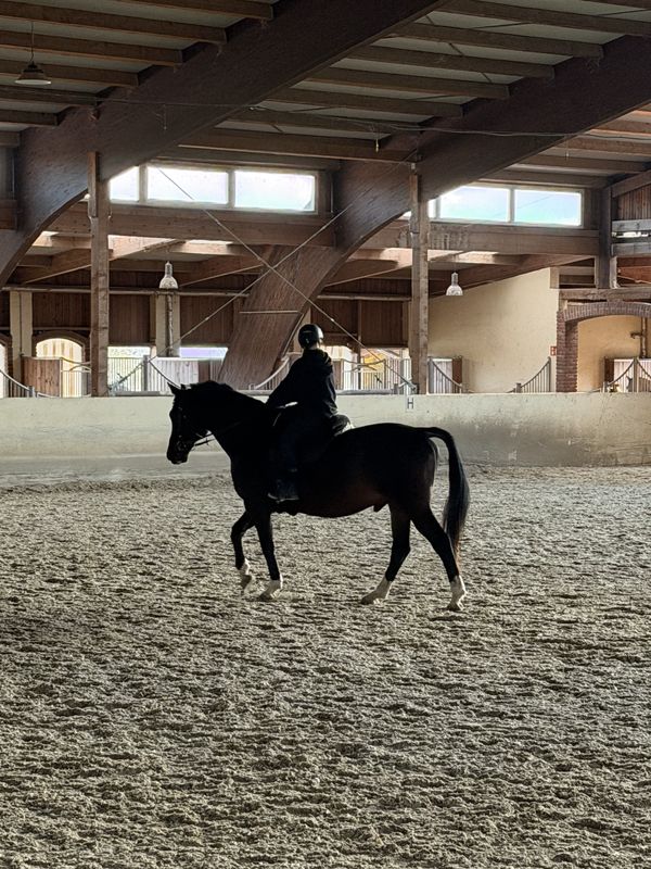 Hauptstraße, Laßnitzhöhe nach Hauptstraße, Laßnitzhöhe
