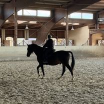 Hauptstraße, Laßnitzhöhe nach Hauptstraße, Laßnitzhöhe