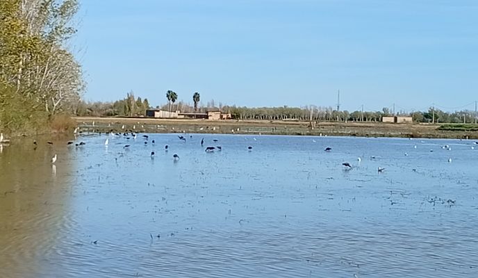 Foto 2 der Bikemap-Route "De Carrer de Llevant a Carrer de Llevant"