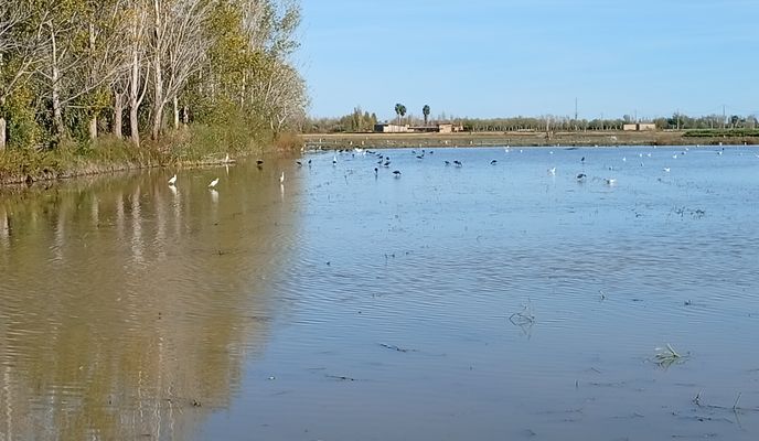 Foto 1 der Bikemap-Route "De Carrer de Llevant a Carrer de Llevant"
