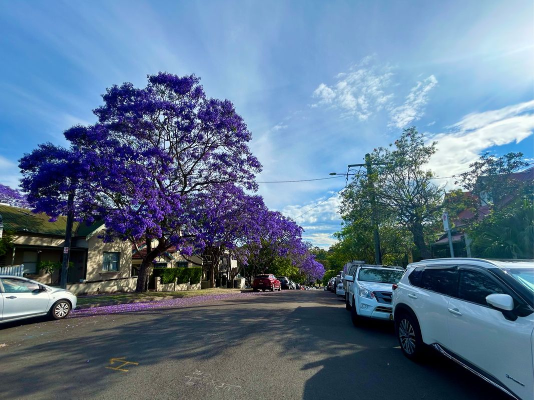 Darcy St, Parramatta to George St, Sydney