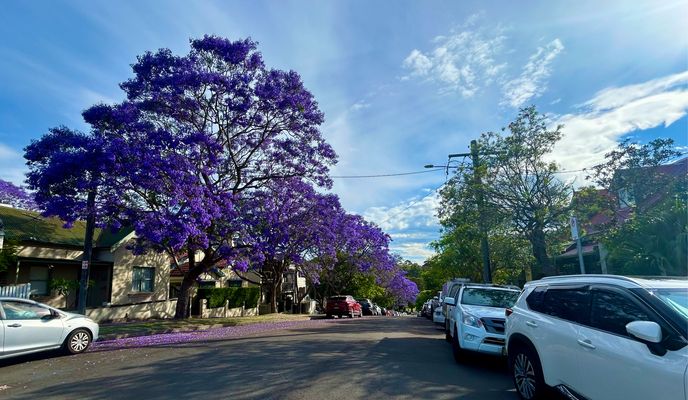 Photo 2 de l’itinéraire Bikemap « Darcy St, Parramatta to George St, Sydney »