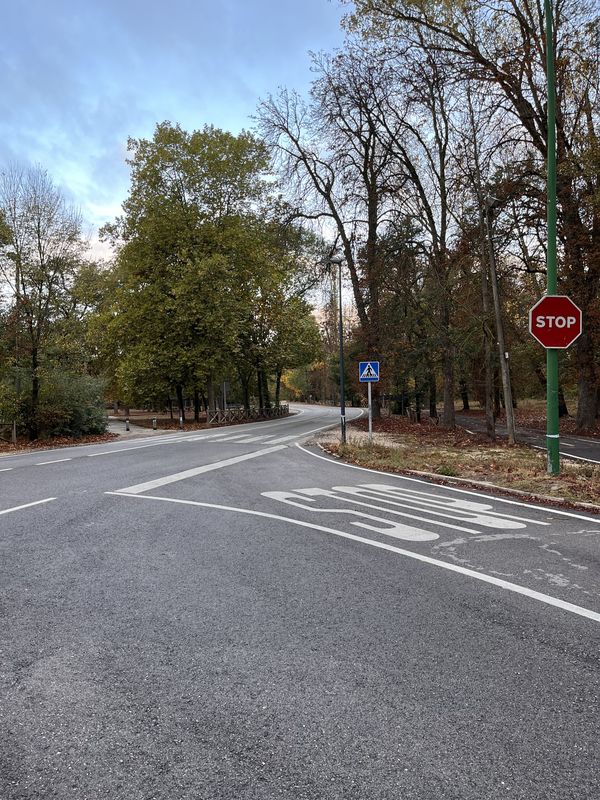 Calle de San Pablo, Burgos to Calle del Progreso, Burgos