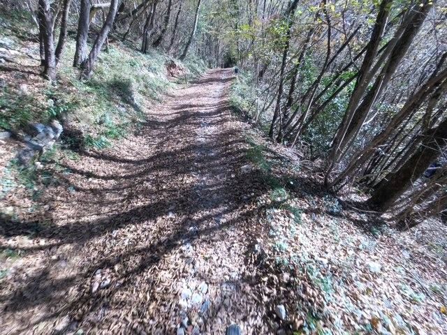 Leffe- San Rocco- Monte Croce- Trate- Colle Gallo