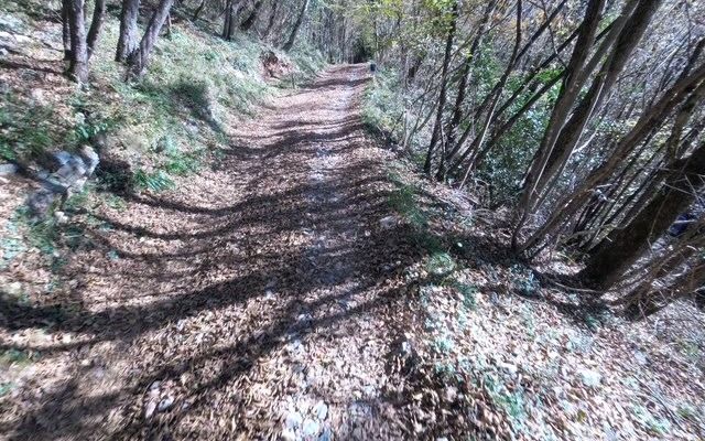 Zdjęcie 2 trasy Bikemap „Leffe- San Rocco- Monte Croce- Trate- Colle Gallo”