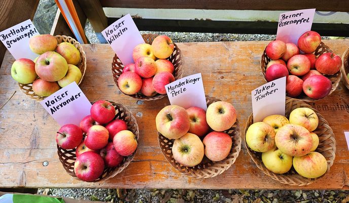 Foto 2 de la ruta de Bikemap "Zum Apfelfest nach Munderkingen."