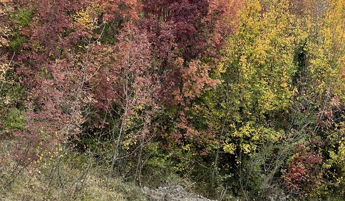 Foto 2 der Bikemap-Route "EFF Festa del pane" Foto 2 der Bikemap-Route "EFF Festa del pane"