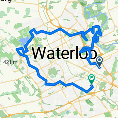 woodlot tree colour ride