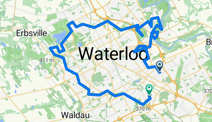 woodlot tree colour ride