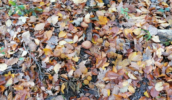 Photo 2 of the Bikemap route "Václavky"