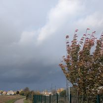 De Avenue François Mitterrand à Avenue François Mitterrand