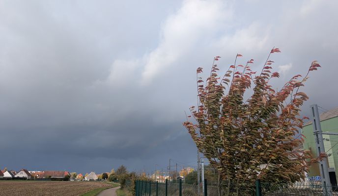 Zdjęcie 1 trasy Bikemap „De Avenue François Mitterrand à Avenue François Mitterrand”