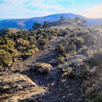 Photo 7 de l’itinéraire Bikemap « 17 Roses Mas-Oliva Serrat-de-Can-Berta Bombo Peni Pedres-Negres Puig-Rodó Les-Gates-Oest Fràgam »