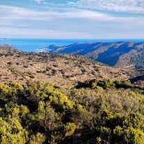 Photo 8 de l’itinéraire Bikemap « 17 Roses Mas-Oliva Serrat-de-Can-Berta Bombo Peni Pedres-Negres Puig-Rodó Les-Gates-Oest Fràgam »