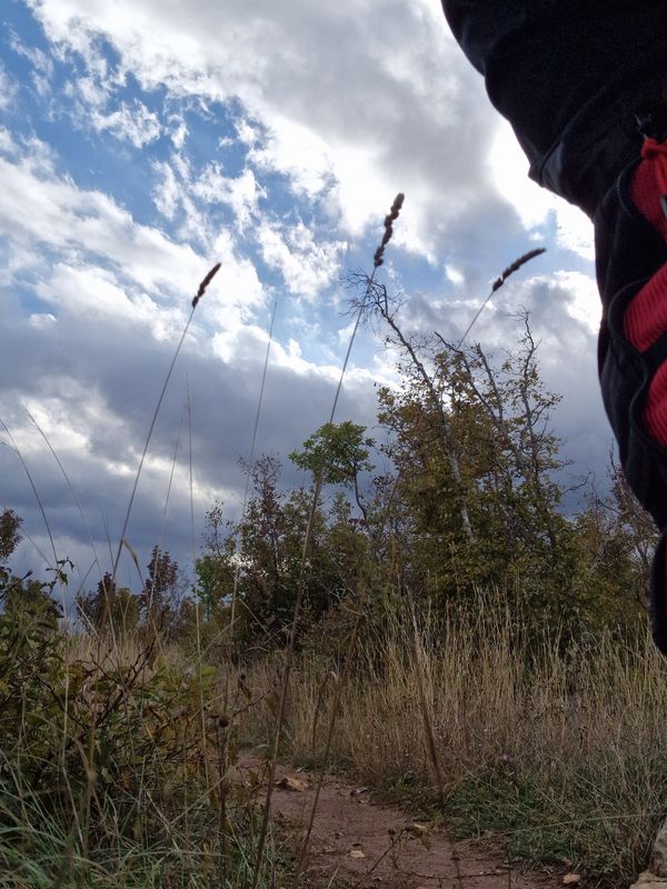 Pirovište - Pirovište