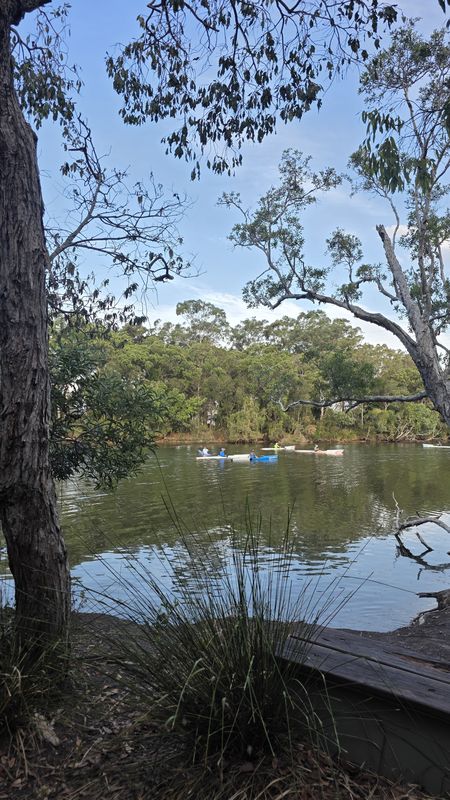 exploring the Kawana lakes