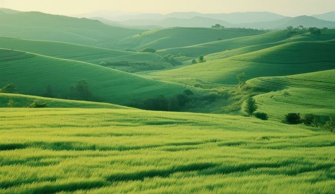 Foto 2 de la ruta de Bikemap "East Main Road to South Willison Road"