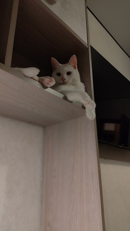 От улица Свободы 72а до улица Свободы