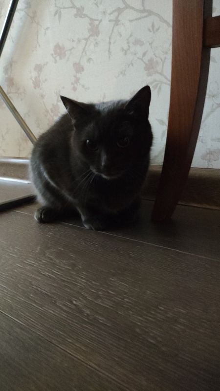 От улица Свободы 72а до улица Свободы