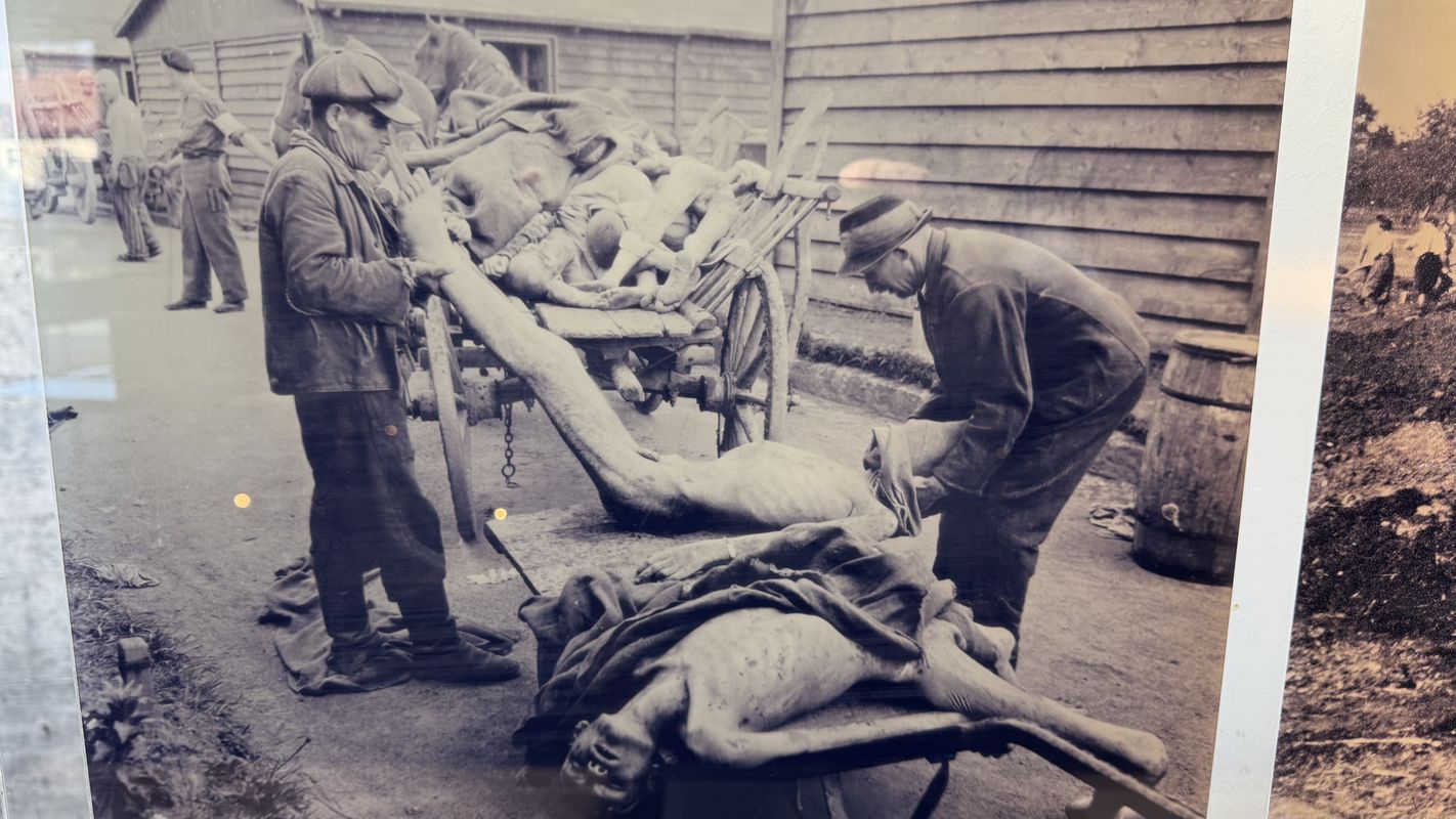 Pegelweg, Luftenberg an der Donau to Papa-Gruber-Platz, Langenstein