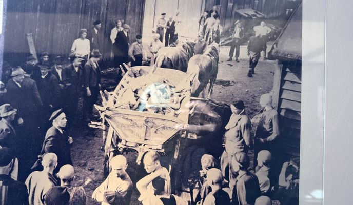 Photo 2 de l’itinéraire Bikemap « Pegelweg, Luftenberg an der Donau to Papa-Gruber-Platz, Langenstein »