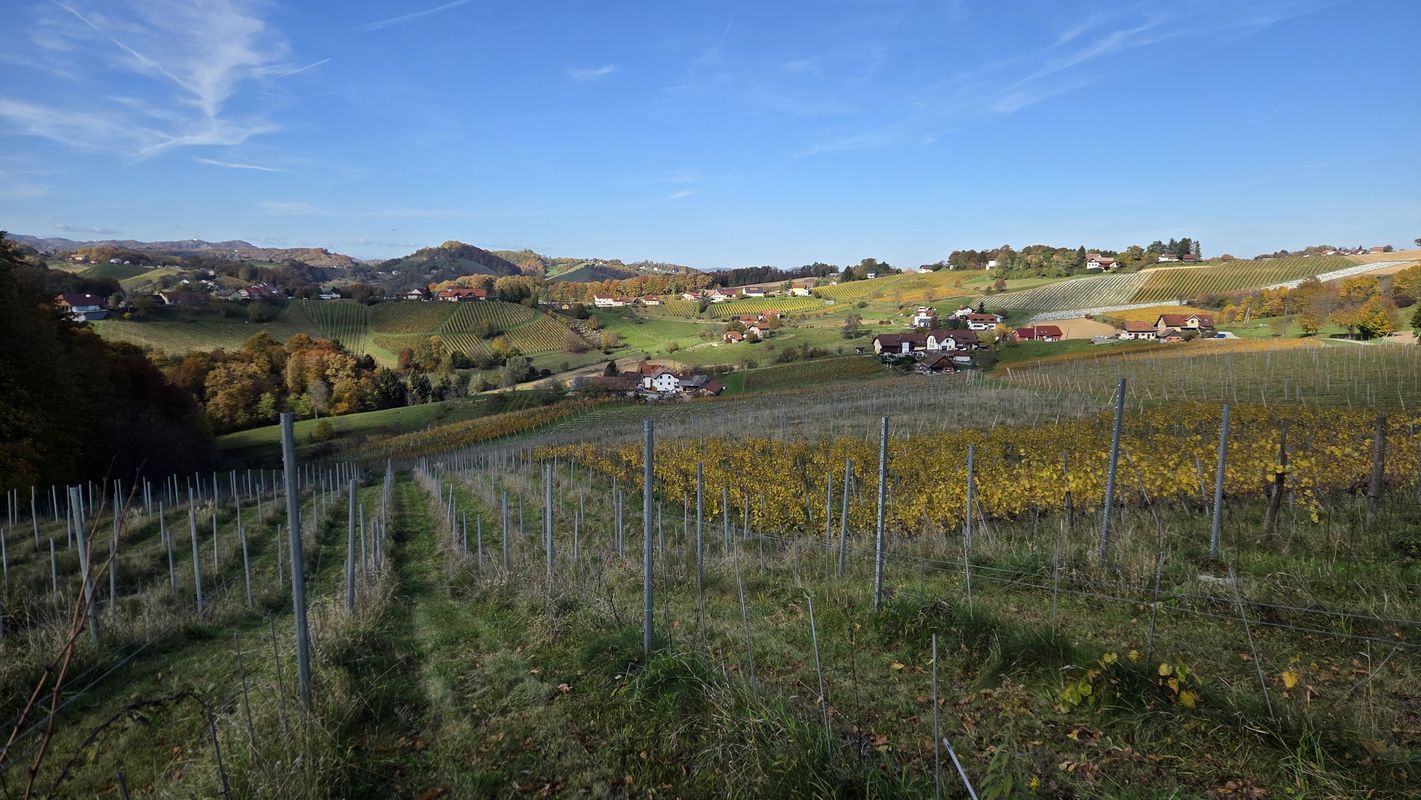 from Malečnik - Voličina - Gočova - Zimica - Trčova