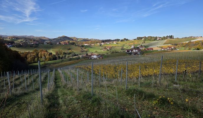 Photo 2 of the Bikemap route "from Malečnik - Voličina - Gočova - Zimica - Trčova"