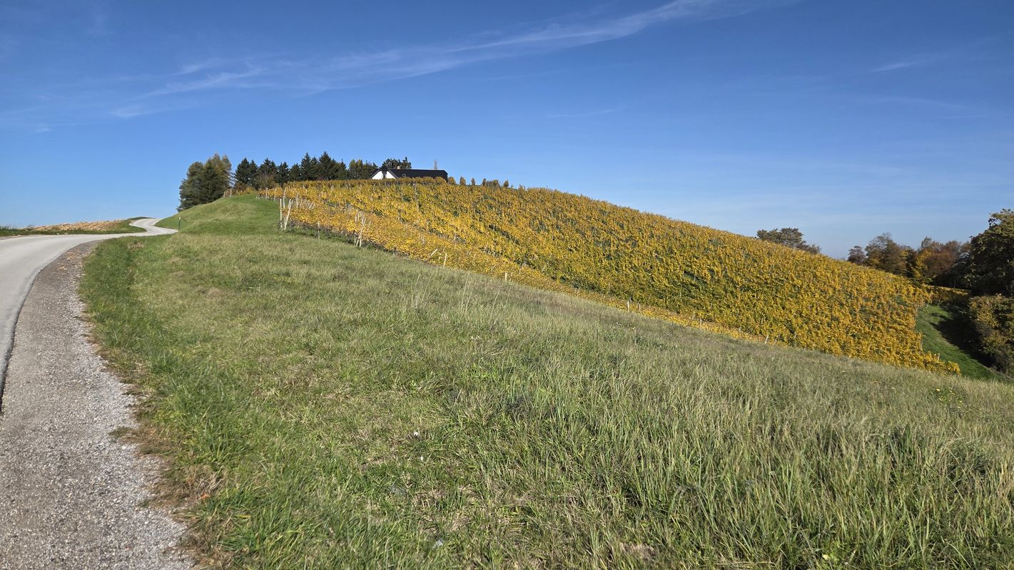 from Malečnik - Voličina - Gočova - Zimica - Trčova