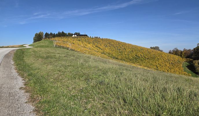 Photo 1 of the Bikemap route "from Malečnik - Voličina - Gočova - Zimica - Trčova"