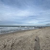 Photo 8 of the Bikemap route "Zingst-Born-Ahrenshoope-DarserOrt-Zingst"