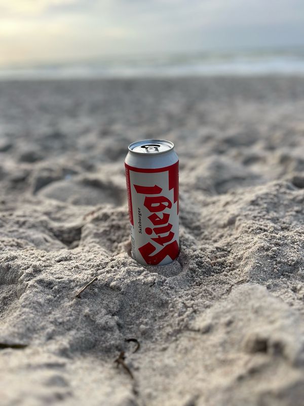 Zingst-Born-Ahrenshoope-DarserOrt-Zingst