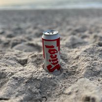 Zingst-Born-Ahrenshoope-DarserOrt-Zingst