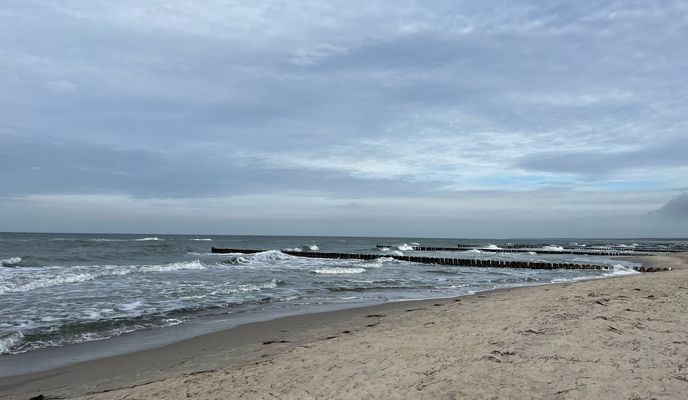 Photo 2 of the Bikemap route "Zingst-Born-Ahrenshoope-DarserOrt-Zingst"