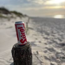 Photo 7 of the Bikemap route "Zingst-Born-Ahrenshoope-DarserOrt-Zingst"