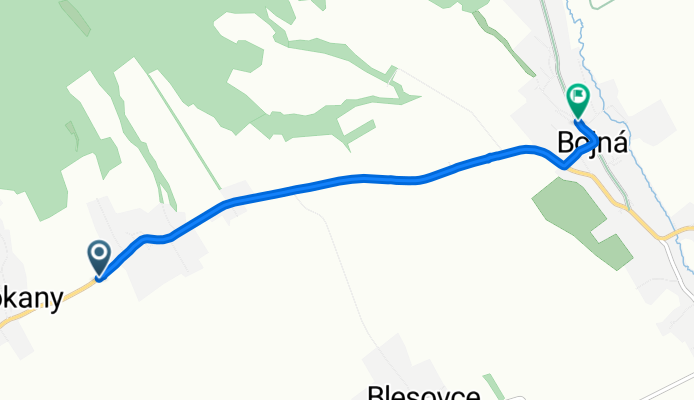 Cesta 499, Vozokany až Bojná, Bojná