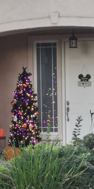 0/3От Greenback Lane до Sundale Way