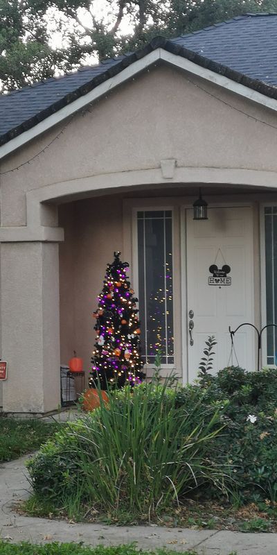 0/3От Greenback Lane до Sundale Way