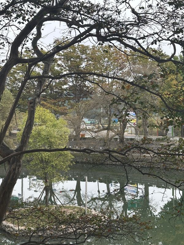 우리 집 &gt; 무진정 가는 경로