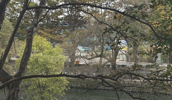 Foto 1 der Bikemap-Route "우리 집 &gt; 무진정 가는 경로"