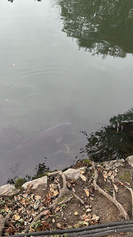 우리 집 &gt; 무진정 가는 경로