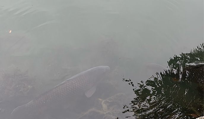 Foto 2 der Bikemap-Route "우리 집 &gt; 무진정 가는 경로"