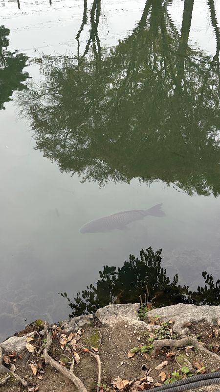 우리 집 &gt; 무진정 가는 경로