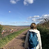 Runde von Ingersheim über Katzenthal und Niedermorschwihr nach Ingersheim