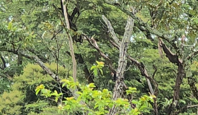 Foto 1 der Bikemap-Route "De 7G55+R7 a Estación de Servicio Brio Cumaral"