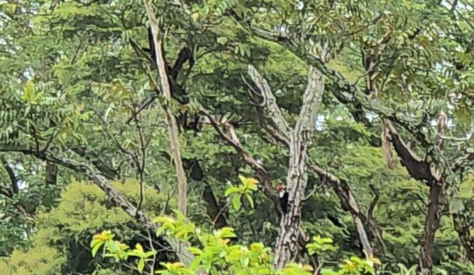 Foto 2 der Bikemap-Route "De 7G55+R7 a Estación de Servicio Brio Cumaral"