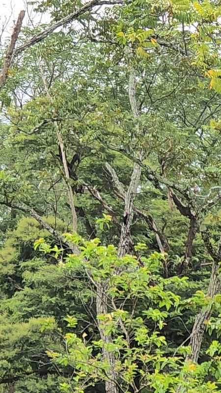 De 7G55+R7 a Estación de Servicio Brio Cumaral