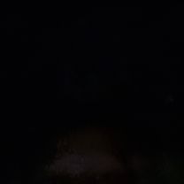 оповоРасслабленный маршрут