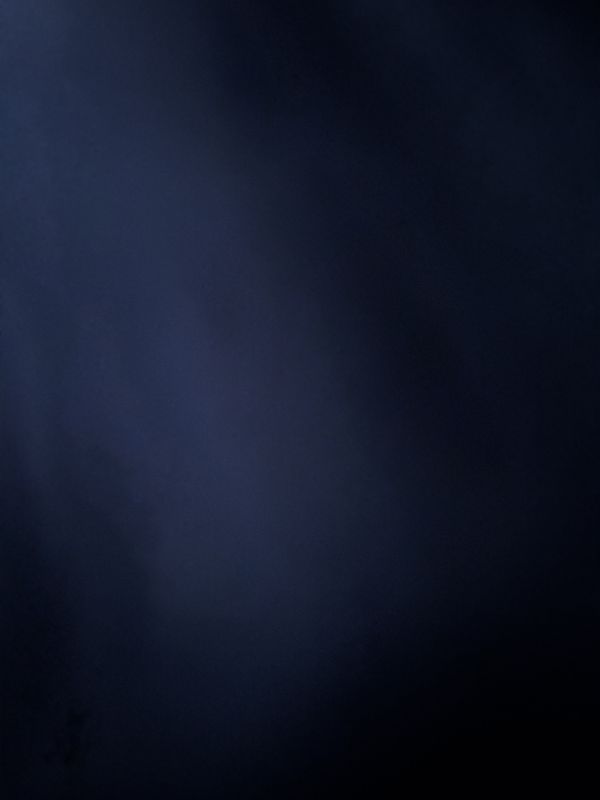 Eisenhowerlaan, Delft naar Eisenhowerlaan, Delft